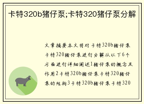 卡特320b猪仔泵;卡特320猪仔泵分解